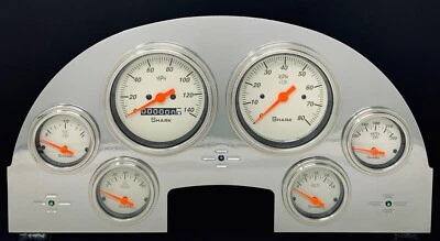 Ford Car 1956 calibre 6 panel de instrumentos juego de panel de inserción recubierto de polvo Foto 1 de 4