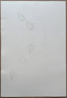 Katsuhito Nishikawa, Physalis, Radierung, 1996, handsigniert und datiert - Bild 1 von 3