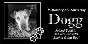 Personalized Pet Stone Memorial Grave Marker Granite Plaque Human headstone dog - Picture 1 of 24