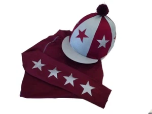 Langlauffarben Baselayer/Seide, Burgund/Silber - Bild 1 von 1