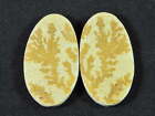 Natural Psilomelane Germane Dendrite pair Earring Making Stone 16X28X03 MM