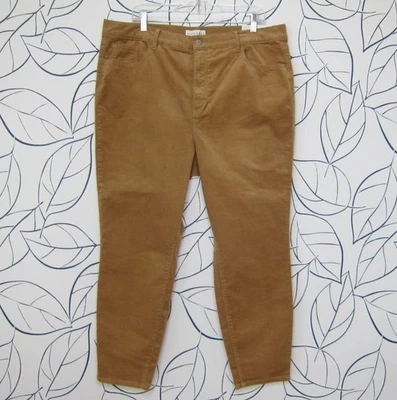 Pantalones Ann Taylor LOFT The Skinny Leg Pana tiro alto talla 34 Petite Foto 1 de 4