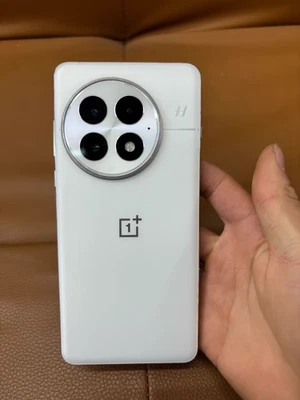 OnePlus 13 12GB+256GB CN Version Dual SIM 100W 6000mAh 5G GSM Unlocked - Image 1 of 4