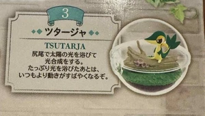 Re-Ment Pokemon Terrarium Collection 12 Mini Figure You Choose US Seller - Picture 1 of 6