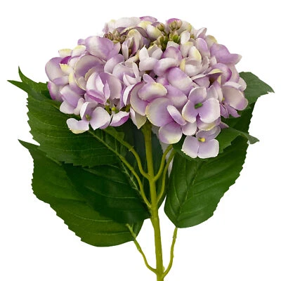 Deko Hortensien Stiel flieder Blumen Frühjahrsdeko Frühling grün Kunstblumen - Bild 1 von 3