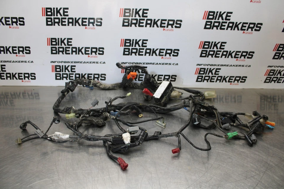 12 HONDA CB1000R ARNÉS DE CABLEADO MOTOR TELAR DE CABLE BB200 Foto 1 de 4