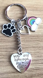 Schlüsselanhänger Haustier Denkmal Verlust Regenbogenbrücke Du bist immer in meinem Herzen Freund Geschenk  - Bild 1 von 3
