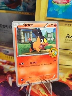 Pokemon Karte Card Tepig Floink Bw Promo Center Ito Yokado Quiz  japanese NM - Bild 1 von 4