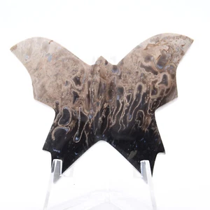 62mm Crystal Gemstone Fossilised Palm Root Butterfly Healing Mineral Natural - Picture 1 of 3