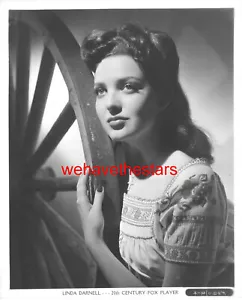 Ritratto pubblicitario vintage Linda Darnell SPLENDIDA BELLEZZA '40 di FRANK POWOLNY - Foto 1 di 1