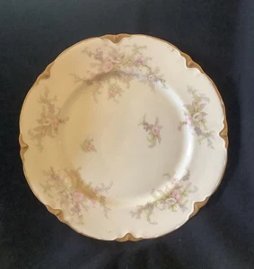 Warwick Avon Rose -Luncheon Plate - Picture 1 of 5