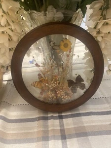 Vintage Real Butterflies & Dried Flowers Incased in Domed Glass Round Wood Frame - Picture 1 of 5