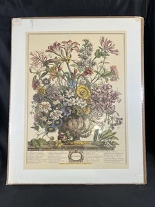 VTG Robert Furber Botanical 12 Months of Flowers Print OCTOBER Unframed 16 x 20 - Picture 1 of 15