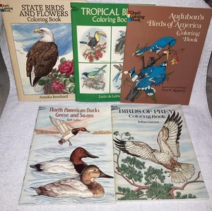 Dover Malbücher Vintage Lot verschiedene Vögel 1974-1996 unbenutzt Lot 5 - Bild 1 von 16