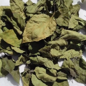 5oz Lantana Camara Dried Leaves Organic Healing  Herbal Tea AngelLip Handpicked - Picture 1 of 5