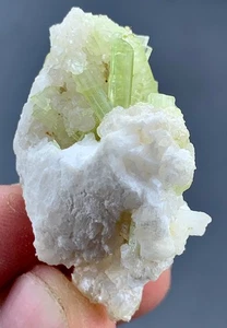 15 Gram Tourmaline Crystal Specimens From Pakistan - Picture 1 of 11