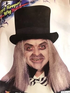 Gruftwächter Erwachsene Kostüm Perücke Frizzy Grau Halloween - Bild 1 von 2