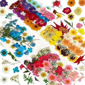 144 PIEZAS Flores Prensadas Secas Naturales para Resina, Flor Seca a Granel Natural1167 - Imagen 1 de 6