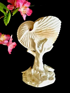 Royal Worcester Nautilus Muscheln 1940er Vintage 6,5" hoch - Bild 1 von 15