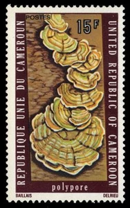 CAMEROUN 607 (Mi802) - Tree Fungus "Trametes versicolor" (pa55956+) - Picture 1 of 1
