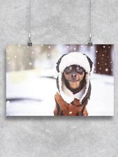 Chihuahua Dog In The Winter Poster -Image by Shutterstock