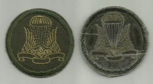 Canadian Airborne Regiment "Obsolete" Combat Cap Badge - Picture 1 of 1