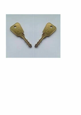 PAIR OF FRUIT MACHINE REFILL SERVICE KEYS BATON L & F 87000 With Instructions.