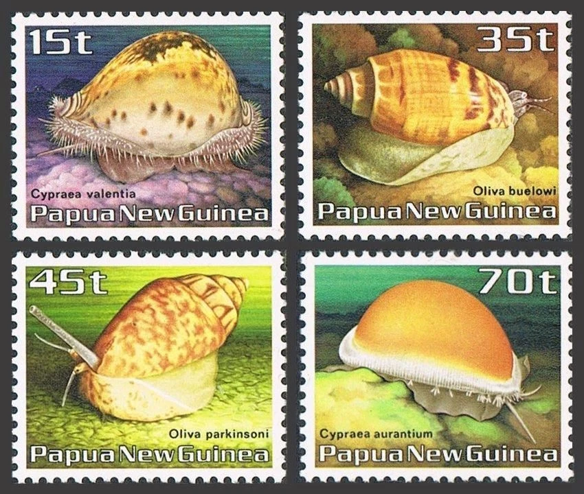 Papua New Guinea 636-639, MNH. Michel 516-519. Conch Shells 1986. - Image 1 of 1