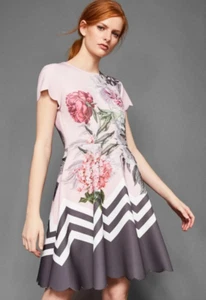 Ted Baker Hailie Palace Gardens Skater Dress Ted Size 3 ~ UK 12 Wedding Guest - Picture 1 of 13