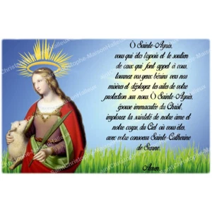 AUTOCOLLANT POUR NEUVAINE - SAINTE AGNES - Imagen 1 de 1