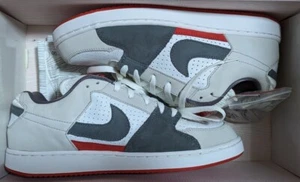 Size 11 - Nike SB Zoom Team Edition Family 2005 - DS, Rare, White 311665-101 - Picture 1 of 6