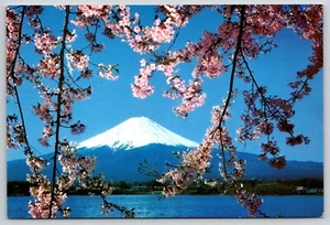 Postcard Lake Kawaguchi Cherry Blossoms Mount Fuji Stratovolcano Japan - Picture 1 of 2