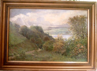 VIGGO STENDER! HILLY LANDSCAPE WITH LAKE FROM NEAR SKANDERBORG - DK - Image 1 of 4