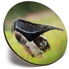 Round Single Coaster  - Anteater Wild Animal Nature  #44107