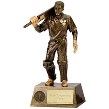 Pinnacle Cricket Batsman Trophy - Free Engraving
