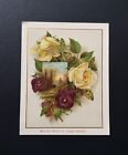 1886 Christmas Greeting - with gilt border and flowers on reverse