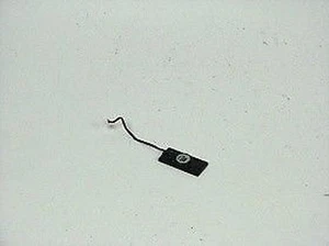 Speaker Medion MD97300 5318065-35664 - Bild 1 von 1