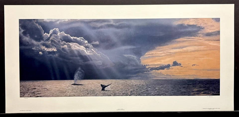 Terry Isaac Edición Limitada Firmado Impresión “Pacific Patterns” Ballenas Foto 1 de 1