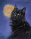Black cat  with the moon Katze Zeichnung Original direkt von der Künstlerin