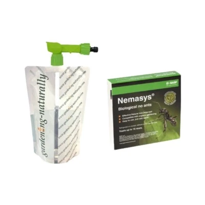 Ant Nematodes 16 Nests Control Ants in Your Garden Includes Nematode Applicator - Image 1 of 4