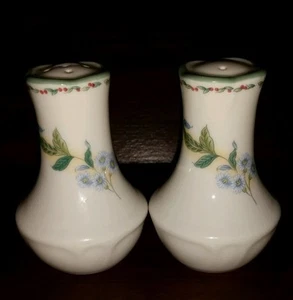 Noritake EPOCH Floral Bay E821 Salt & Pepper Shakers HTF - Picture 1 of 4