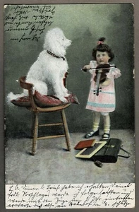 Farb-AK MÄDCHEN mit GEIGE und PUDEL, koloriert, gelaufen 1904 - Picture 1 of 2