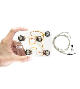 920D Custom Jimmy Page Twenty-One Tone Les Paul Guitar Wiring Harness (2 Pk) - Picture 1 of 4