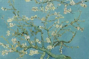 Jigsaw Puzzle 1000 Pieces | Large Puzzle Size 27.5x19.5 inch | Almond Branches - Picture 1 of 5