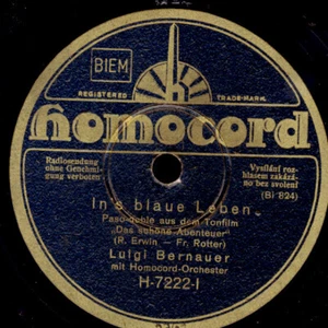 LUIGI BERNAUER Ins blaue Leben / Wenn der Mensch verliebt..Schellackplatte S7331 - Bild 1 von 2