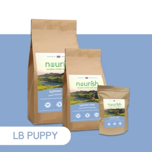 Nourish Grain Free Large Breed Salmon with Sweet Potato Asparagus Dry Puppy Food - Picture 1 of 7