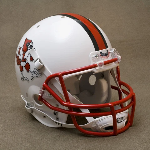LOUISVILLE CARDINALS NCAA Schutt XP Full Size REPLICA Gameday Football Helmet Cover