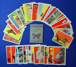 Near Set: 44 of 50 WILD ANIMALS Cards, 1960 Chix (U.K.) - Picture 1 of 3