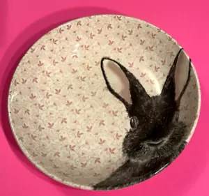 Vintage Royal Stafford Pottery Pink Chintz Rabbit Soup/Pasta Bowl 7 3/4" England - Picture 1 of 4
