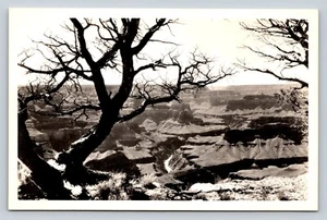 1940s RPPC Majestic Grand Canyon View VINTAGE Real Photo Postcard EKC - Picture 1 of 2
